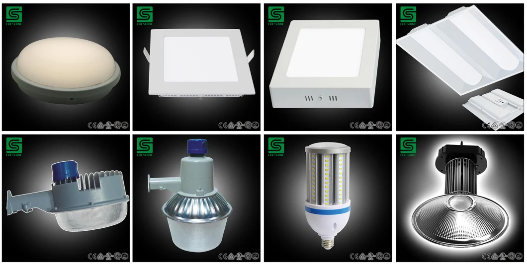 LED Bulkhead Light IP65 20W Round with Constant Current Driver